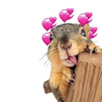 Brain - Single - justadrian & akhi