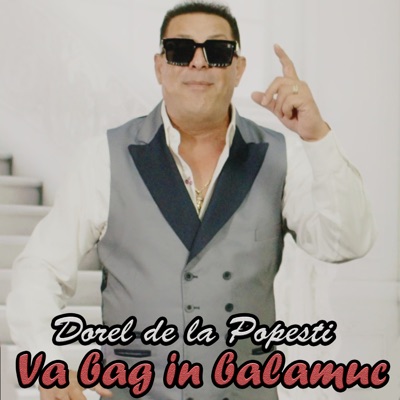 Song - Va bag in balamuc - Dorel de la Popesti