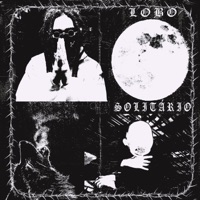 LOBO SOLITÁRIO (feat. Bob Leal) - Single - DVNTV$