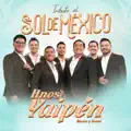 Tributo Al Sol de México: La Incondicional / Tengo Todo Excepto a Ti