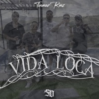 Vida Loca - Single - Tinmarrmz