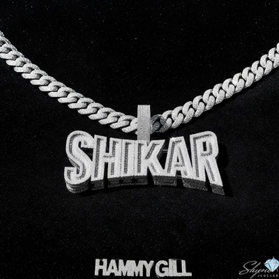 Shikar (feat. sobit) - Single