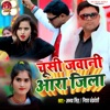 Chusi Jawani Aara Jila - Single