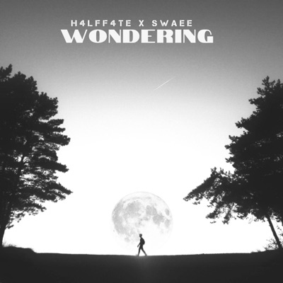 WONDERING (feat. SWAEE) - Single