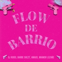 Flow de Barrio - Single - DJ Ruido, BARBIE SHEZIT, Amaus & Miamor Lozano