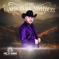 ENTRE GALLOS Y CABALLOS - Single - Paco Serna