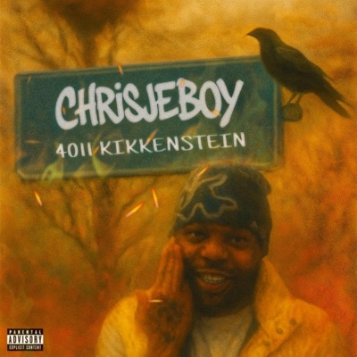 4011 Kikkenstein (Hosted by Kingsta)