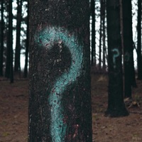 Dead, Dreaming - Single - Apollo Clone