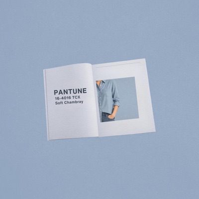 Soft Chambray - Single