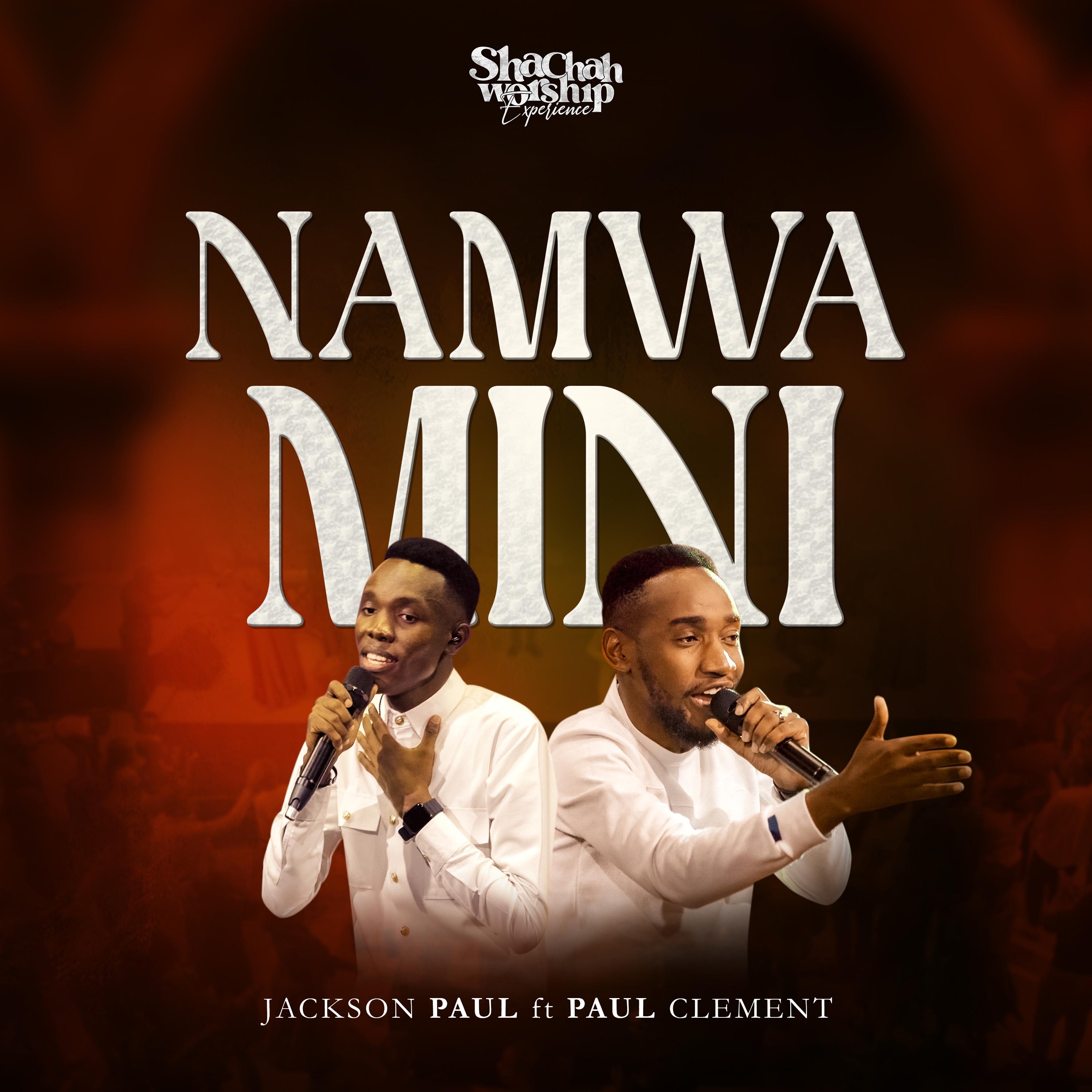 NAMWAMINI (feat. PAUL CLEMENT) - EP