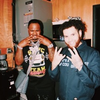 Patient Freestyle - Single - Hollywood Younging