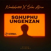Sghuphu Ungenzan (feat. Silas Africa) artwork