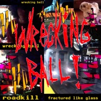 Wrecking Ball - Single - fuckdisturbed