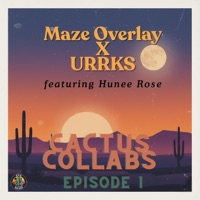 Got the game Fkd up (feat. Urrks, Maze Overlay & Hunee Rose) - Single - PHX HipHop