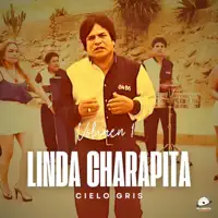 Quiero Emborracharme — Cielo Gris
