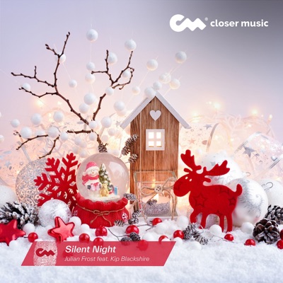 Silent Night (Instrumental) - Single
