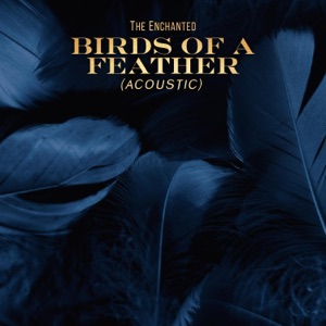 Birds of a Feather (Acoustic) - Single