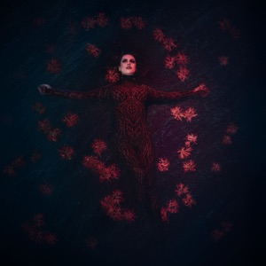 Blood in the Water - Single