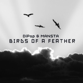 Birds Of A Feather (feat. MANSTA) DiPap