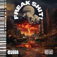 Freaksh!T - Single - A-RoN Gubbe