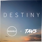 Destiny (feat. Tavs) - Single