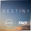 Destiny (feat. Tavs) - Single