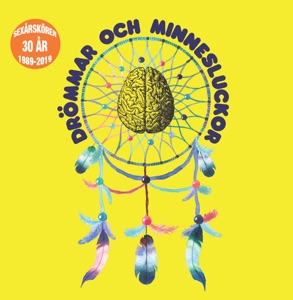 Drömmar och minnesluckor