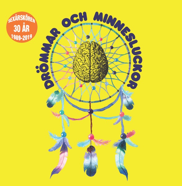 Drömmar och minnesluckor