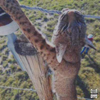 SHOCKINGLY RAW - Single