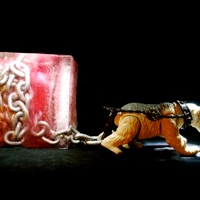 Forget In Mass - Deki Alem