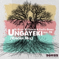 Ungayeki (Reborn Mix) [feat. TK.] - Single - Dj Galio, DJ Satelite & FabYo Gomez