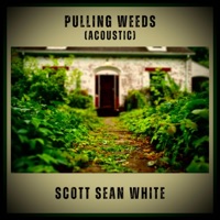 Pulling Weeds (Acoustic) - Single - Scott Sean White