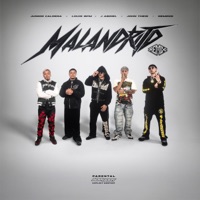 Malandrito (Remix) [feat. Remers & Animal] - Single - Junior Caldera, John Theis, J Abdiel & Louis BPM