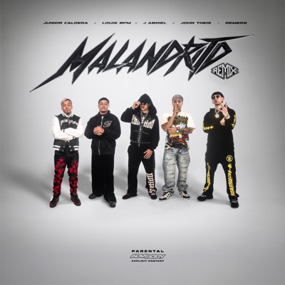 Malandrito (Remix) [feat. Remers & Animal] - Single