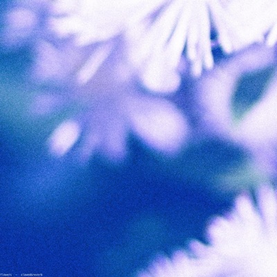 flowers (slowed&reverb) - EP