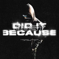 did It Just Because - Single - HeyMrNoOdLeS