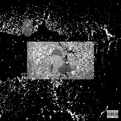 nuisance / desiderium - Single