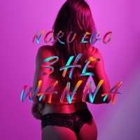 She wanna - Single - Noru ego, Jair Latin & Ribert Music