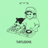 TURTLEDOVE - Single - CVX