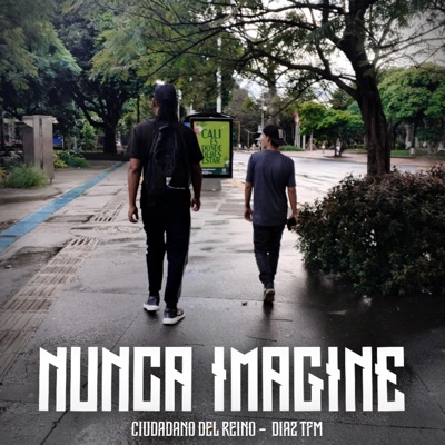 Nunca Imagine (feat. Díaz TFM) - Single