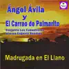 MADRUGADA EN EL LLANO
