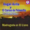 MADRUGADA EN EL LLANO