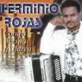 La Varita De Oro