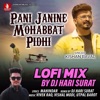 Pani Janine Mohabbat Pidhi (Lofi Mix) - Single