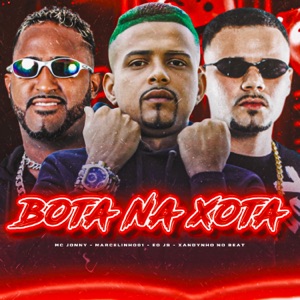 Bota na Xota (feat. Xandynho No Beat)