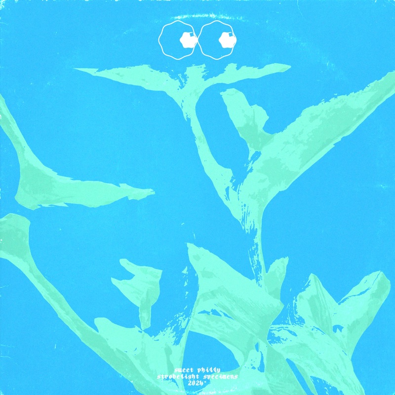Album art for Wavelength