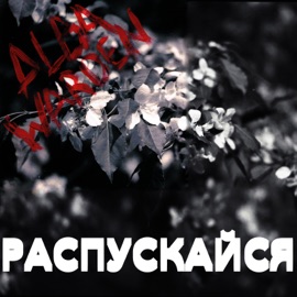 Распускайся Alba Warden