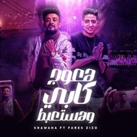هعوج كابي - Single - شواحه & فارس زيزو