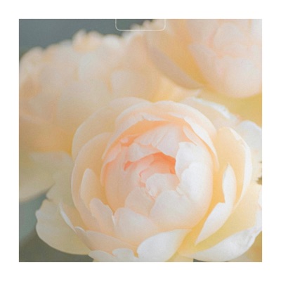 The Story's Just Begun - Single