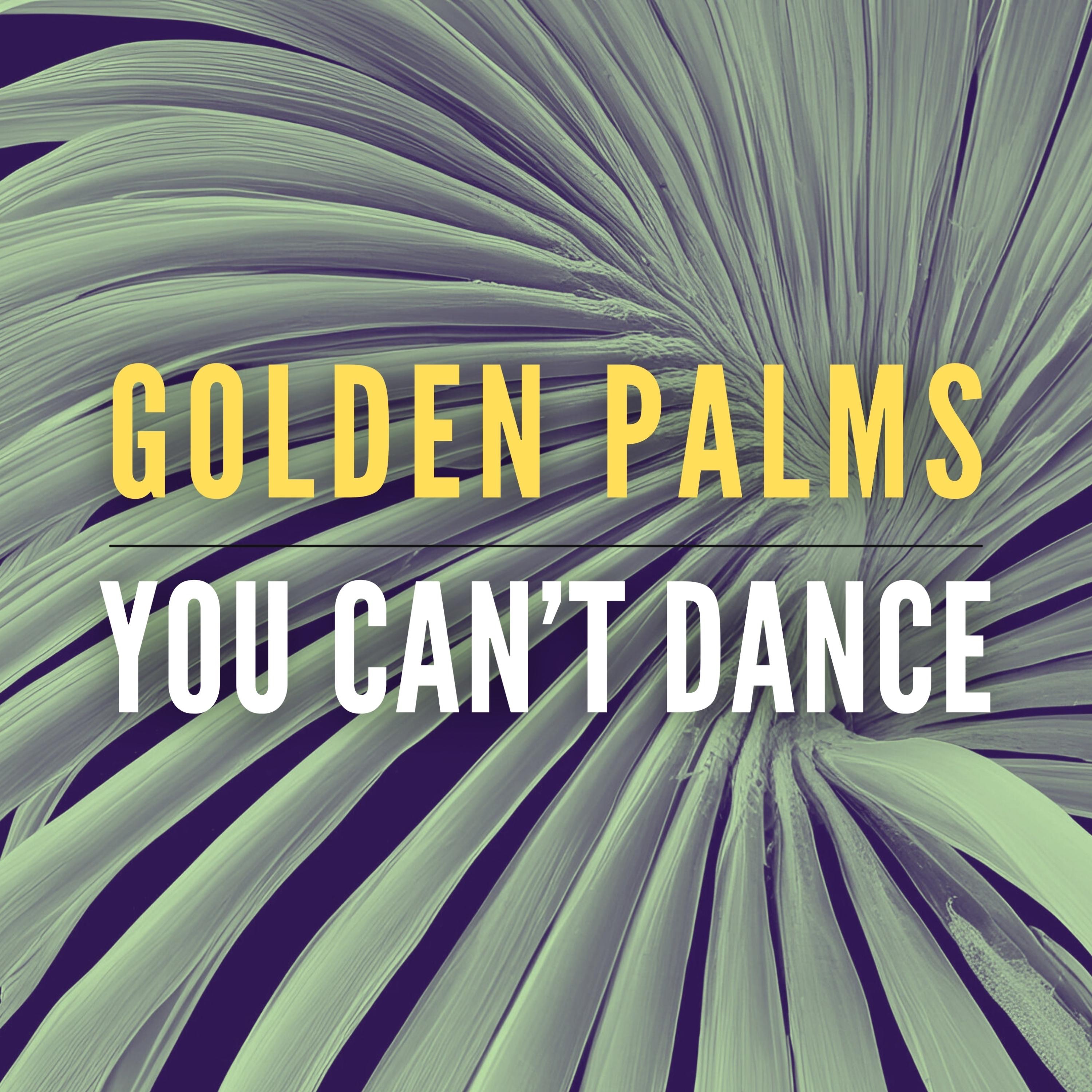 You Can't Dance
